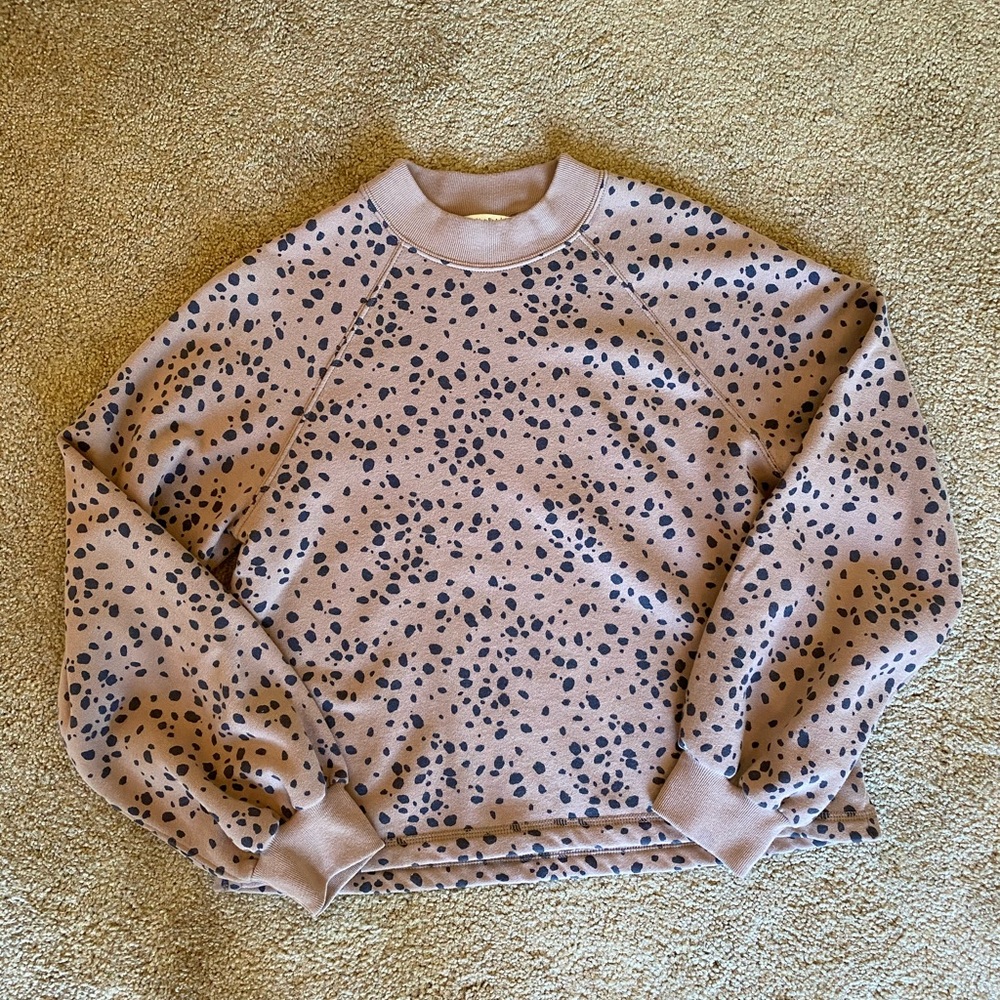 Abercrombie and Fitch Sweatshirt